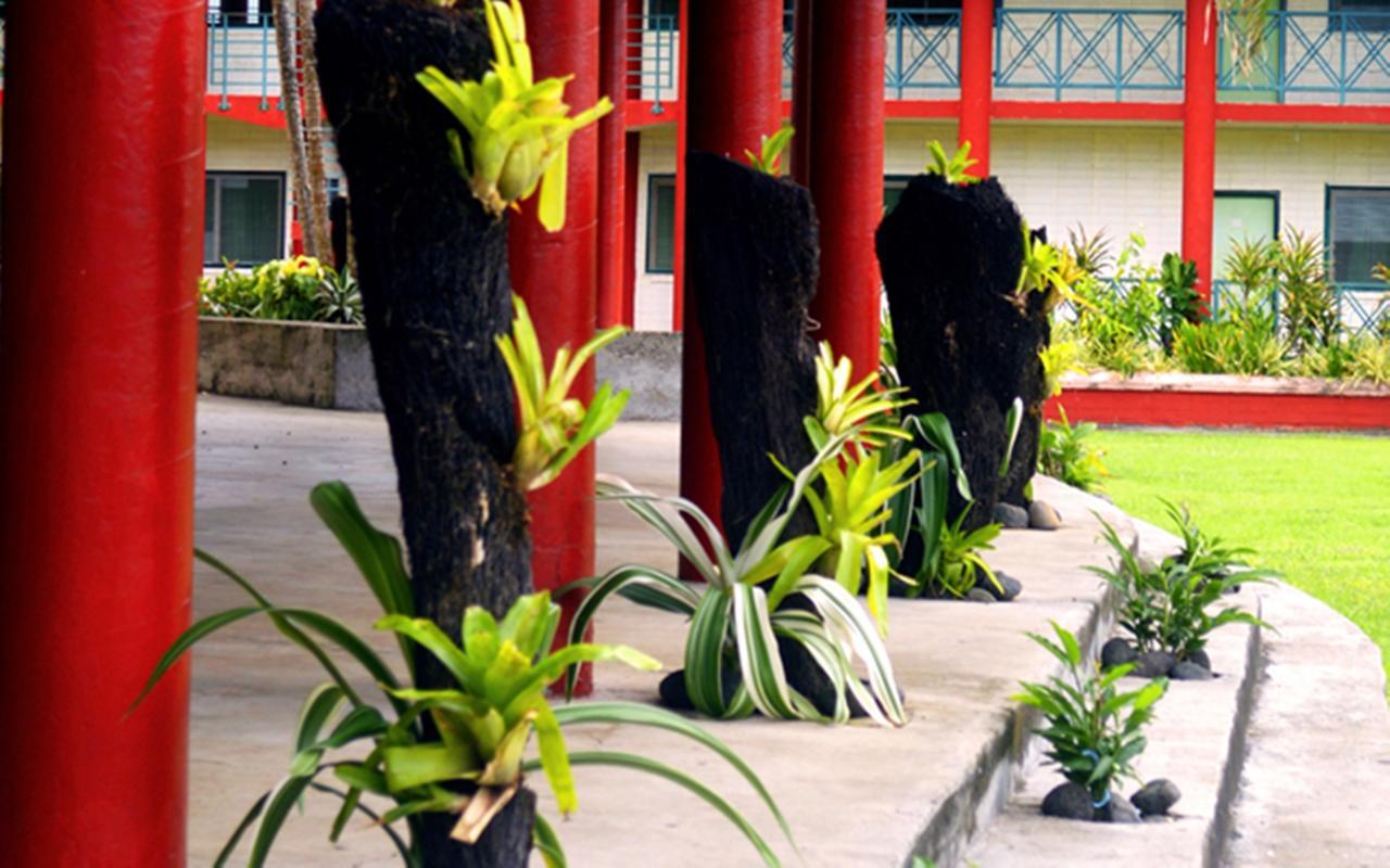 The St Therese Samoa Retreat & Accommodation Tuana'i Esterno foto